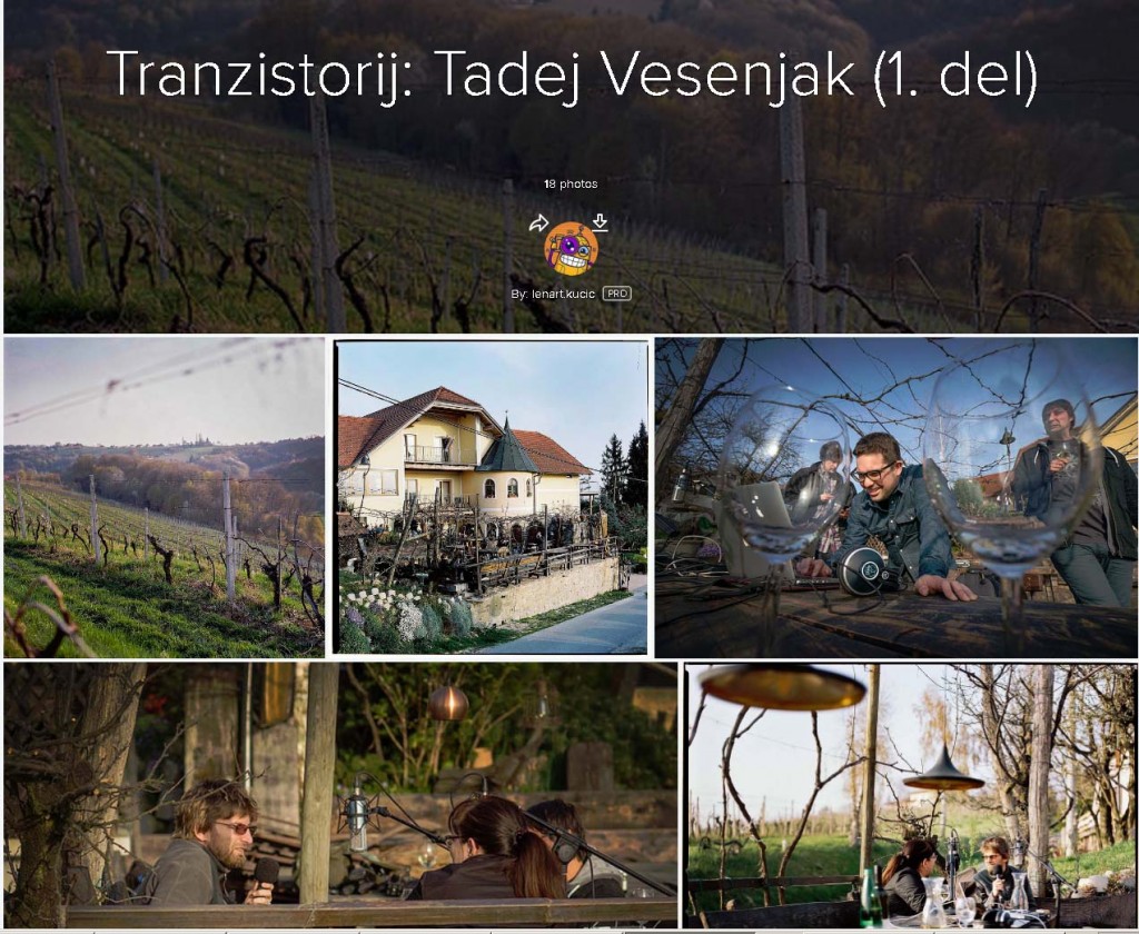 tranzistorij_vesenjak_1
